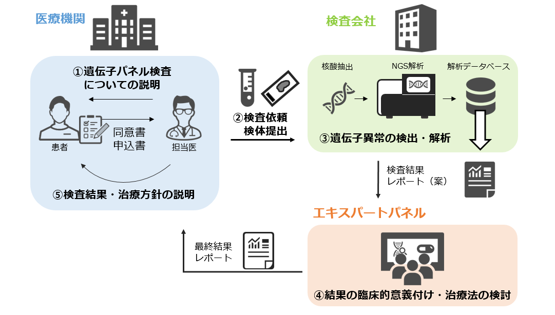 がん遺伝子パネル検査