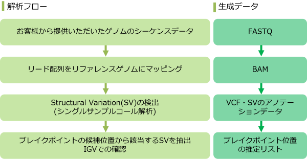 解析概要