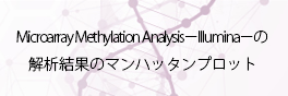 Microarray Methylation Analysis－Illumina－
<br>マンハッタンプロット作成