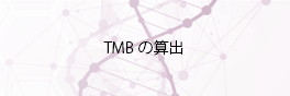 Tumor Mutation Burden (TMB)の算出