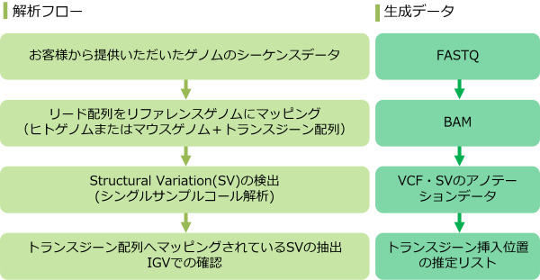 解析概要