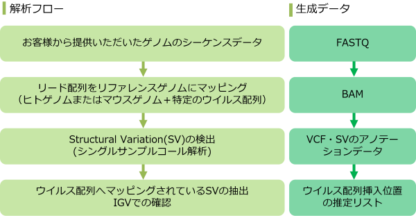 解析概要