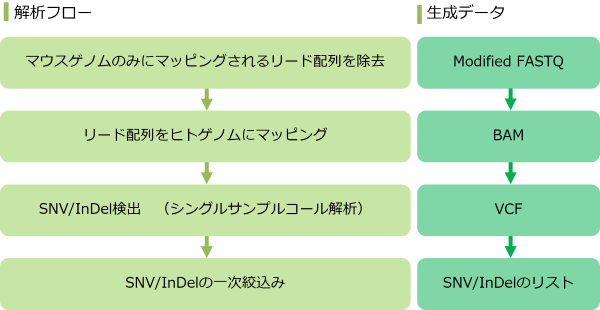 解析概要