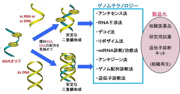 BNAテクノロジー.jpg