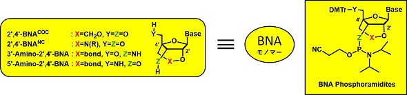 BNAモノマー.jpg