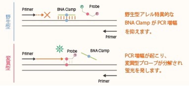 BNA_Web画像.jpg