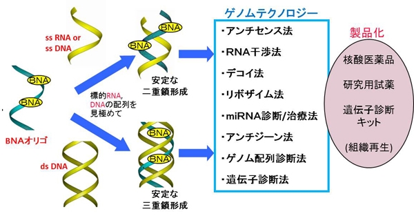 BNA技術