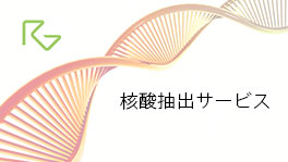 核酸抽出サービス