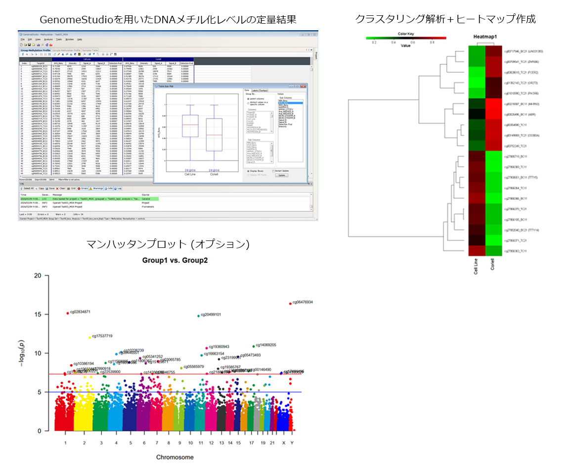 マイクロアレイ メチル化解析結果