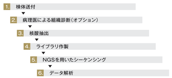 解析概要（図）