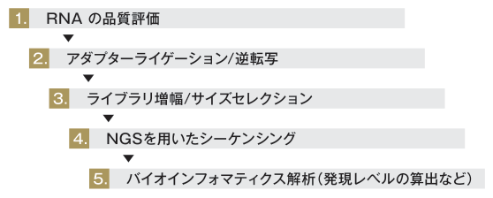 解析概要（図）