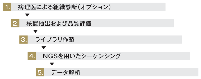 解析概要（図）