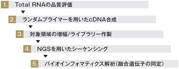 解析概要（図）