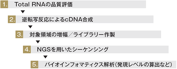 解析概要（図）