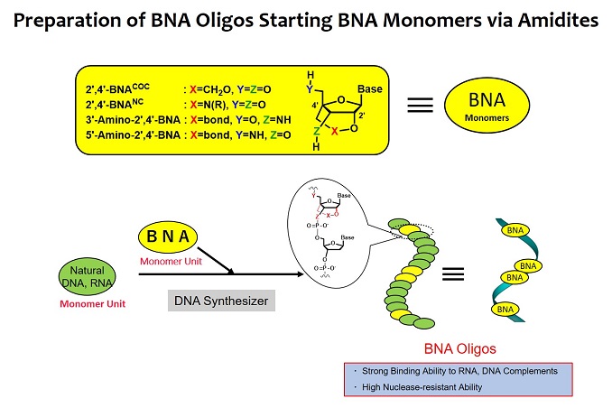 BNAモノマー.jpg