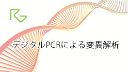 Digital PCR