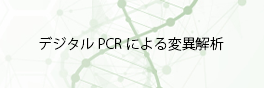 デジタルPCR