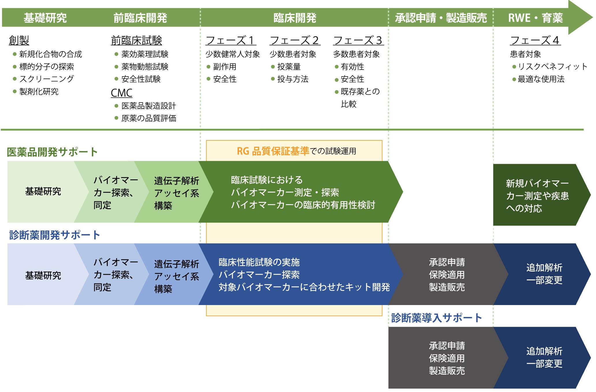 医薬品開発支援サービスの内容