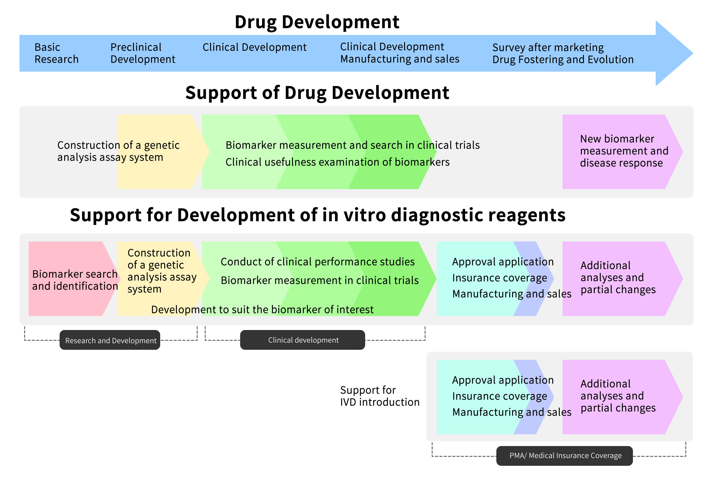 Drug Development Support