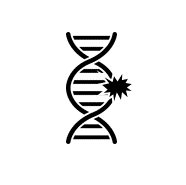 mutation_msk