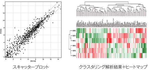 Ncounter解析 理研ジェネシス