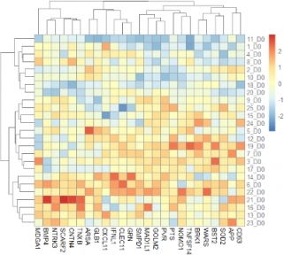 　解析例２　発現変動解析のクラスタリング＋ヒートマップ