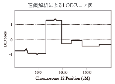 解析結果